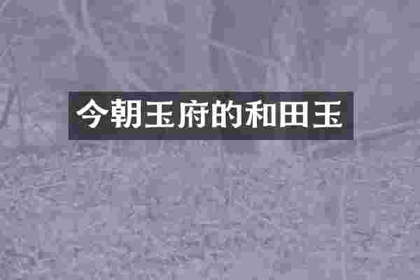 今朝玉府的和田玉