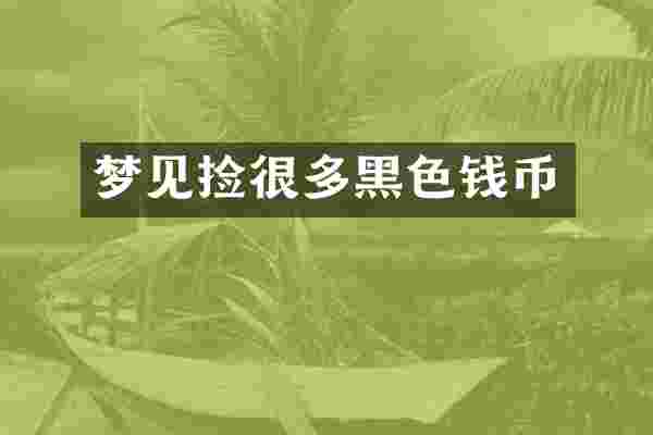 梦见捡很多黑色钱币
