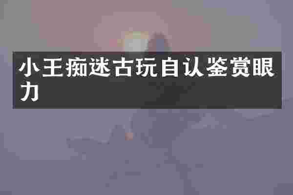 小王痴迷古玩自认鉴赏眼力