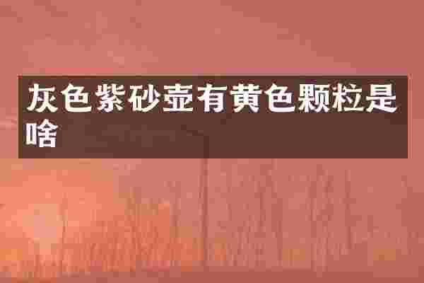 灰色紫砂壶有黄色颗粒是啥