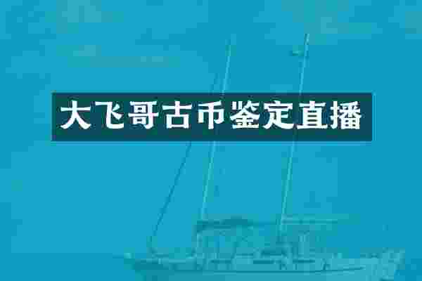 大飞哥古币鉴定直播