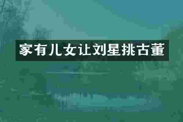 家有儿女让刘星挑古董