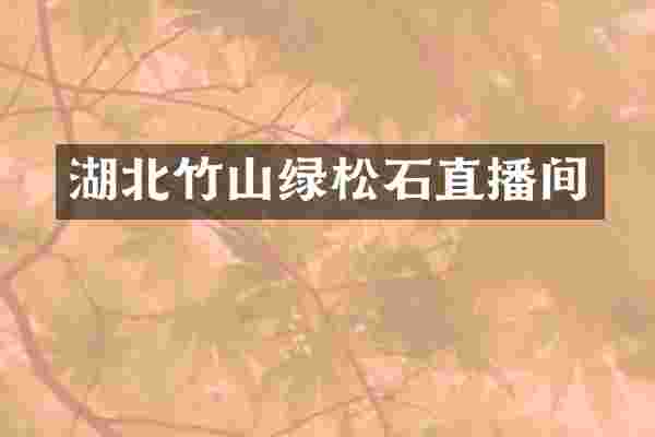 湖北竹山绿松石直播间
