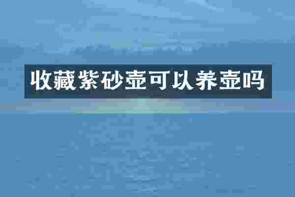 收藏紫砂壶可以养壶吗