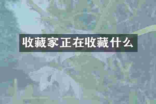 收藏家正在收藏什么