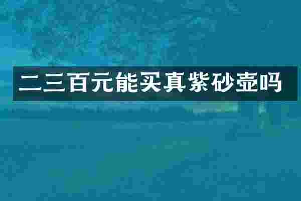 二三百元能买真紫砂壶吗