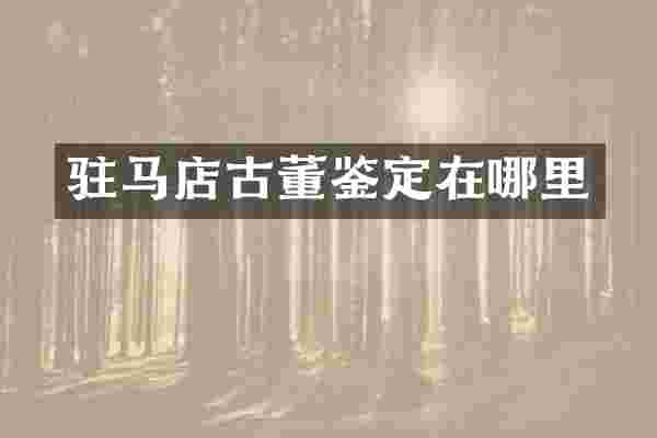 驻马店古董鉴定在哪里