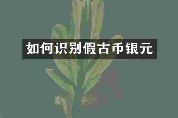 如何识别假古币银元