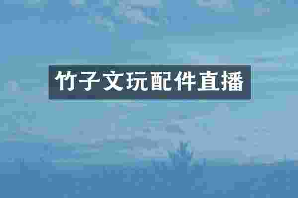竹子文玩配件直播