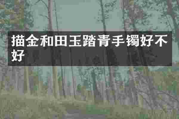 描金和田玉踏青手镯好不好