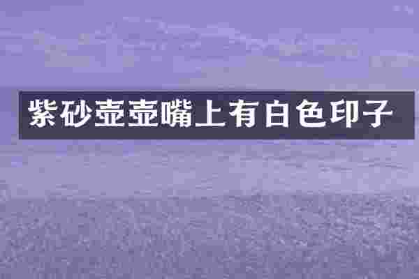 紫砂壶壶嘴上有白色印子