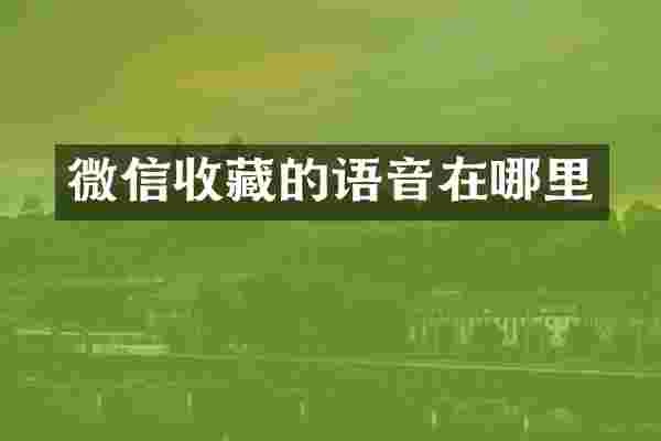 微信收藏的语音在哪里
