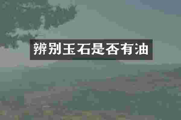 辨别玉石是否有油