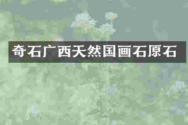 奇石广西天然国画石原石