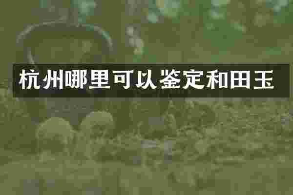 杭州哪里可以鉴定和田玉