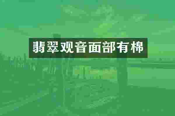 翡翠观音面部有棉