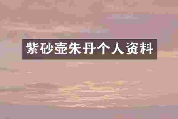 紫砂壶朱丹个人资料