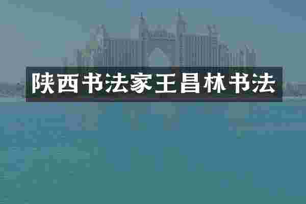 陕西书法家王昌林书法