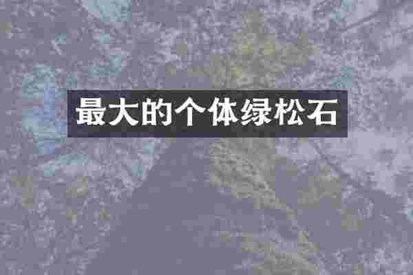 最大的个体绿松石