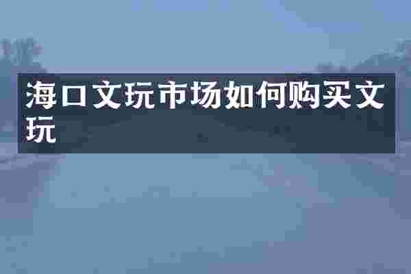 海口文玩市场如何购买文玩