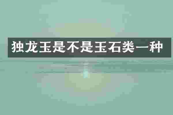 独龙玉是不是玉石类一种