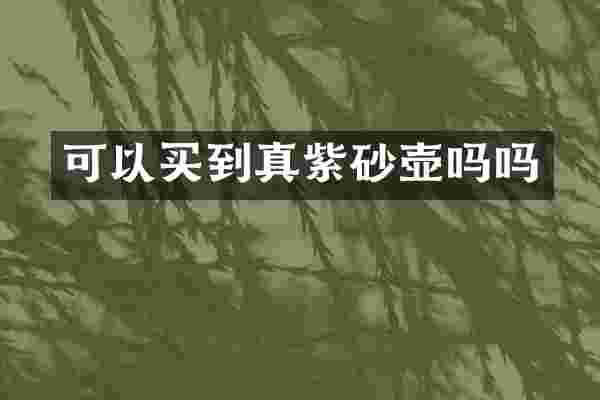 可以买到真紫砂壶吗吗