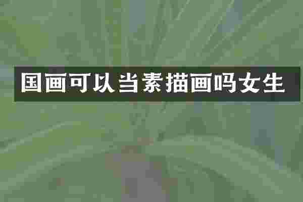 国画可以当素描画吗女生