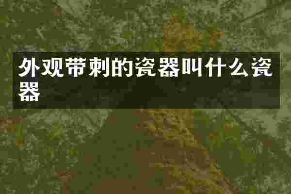 外观带刺的瓷器叫什么瓷器