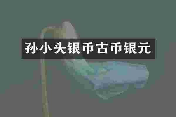 孙小头银币古币银元
