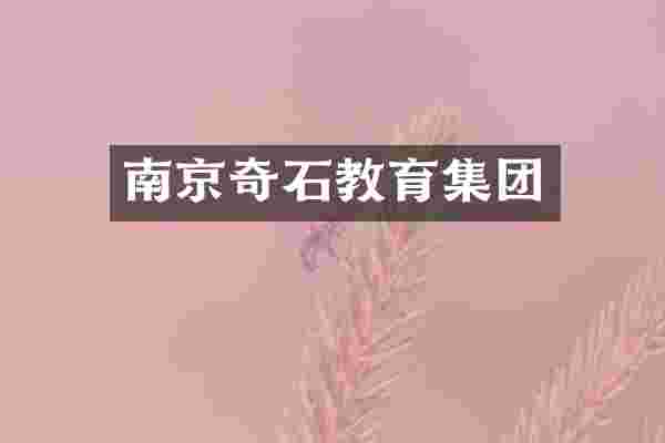 南京奇石教育集团