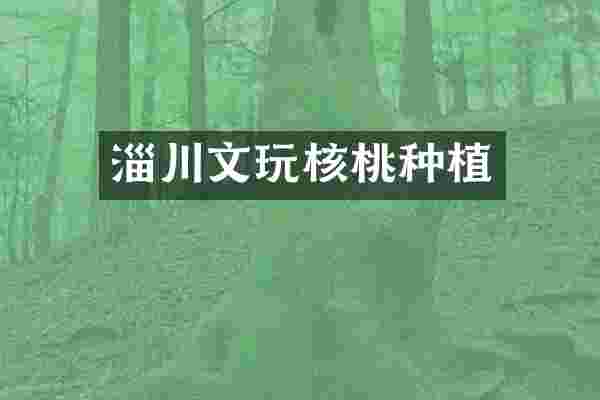淄川文玩核桃种植