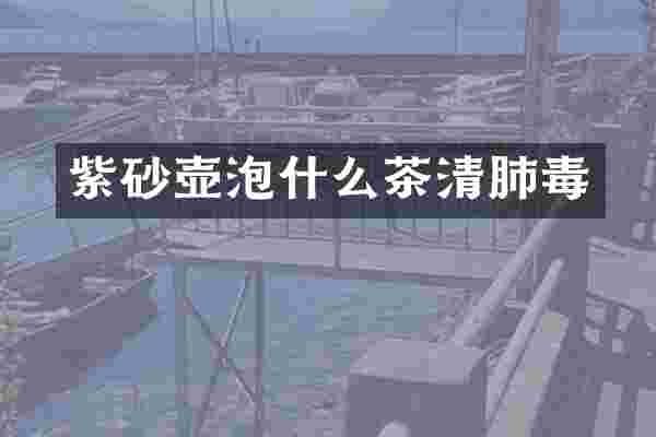 紫砂壶泡什么茶清肺毒