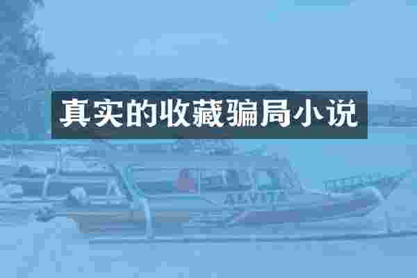 真实的收藏骗局小说