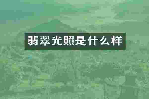翡翠光照是什么样