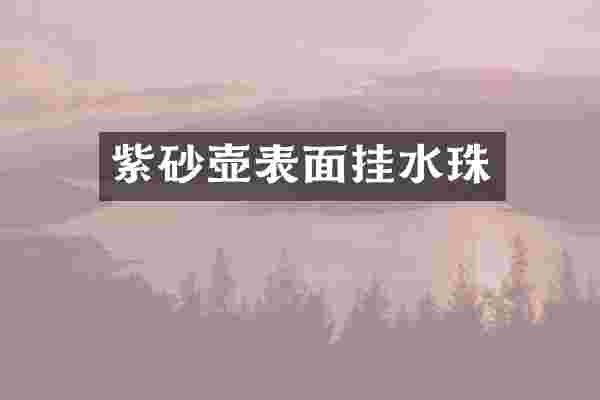 紫砂壶表面挂水珠