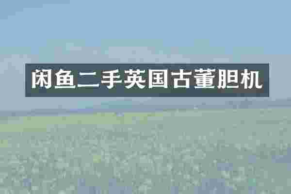 闲鱼二手英国古董胆机