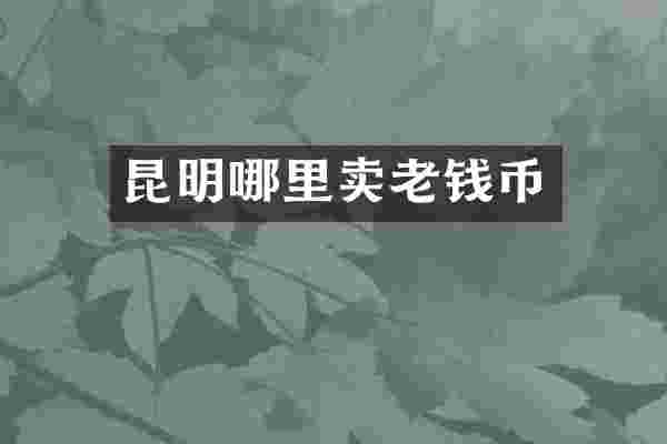 昆明哪里卖老钱币