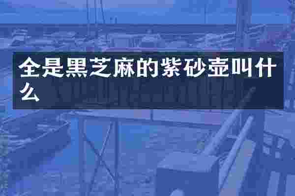 全是黑芝麻的紫砂壶叫什么