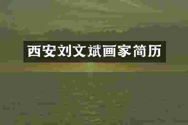 西安刘文斌画家简历