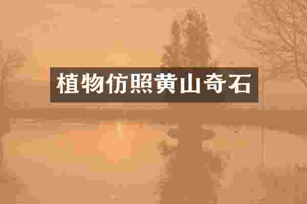植物仿照黄山奇石