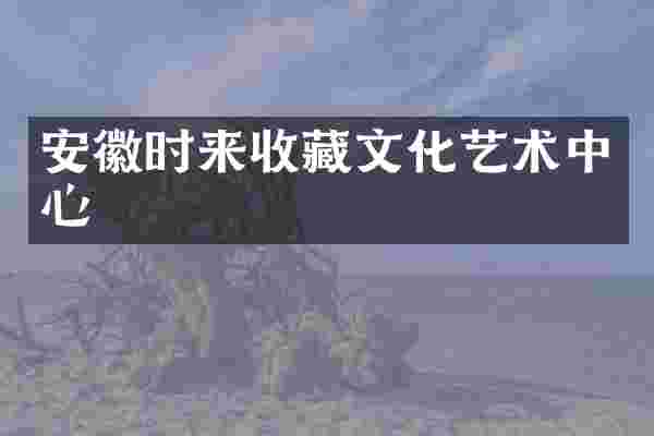 安徽时来收藏文化艺术中心