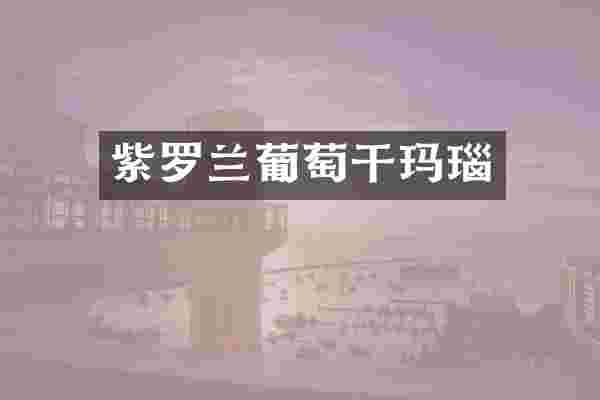 紫罗兰葡萄干玛瑙
