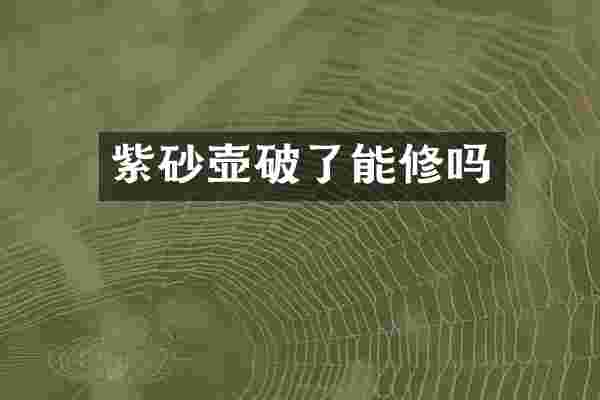 紫砂壶破了能修吗