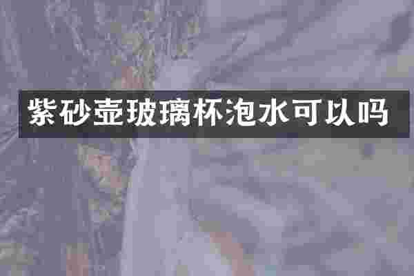 紫砂壶玻璃杯泡水可以吗