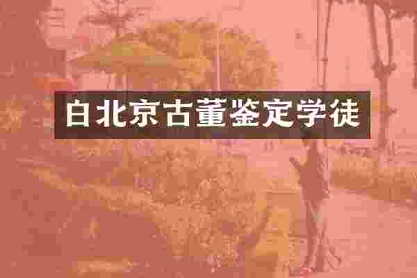 白北京古董鉴定学徒