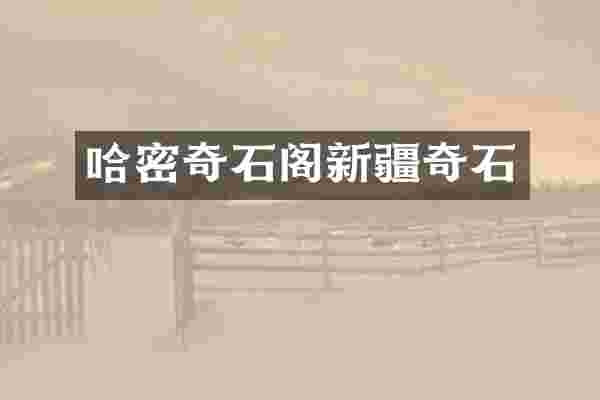 哈密奇石阁新疆奇石