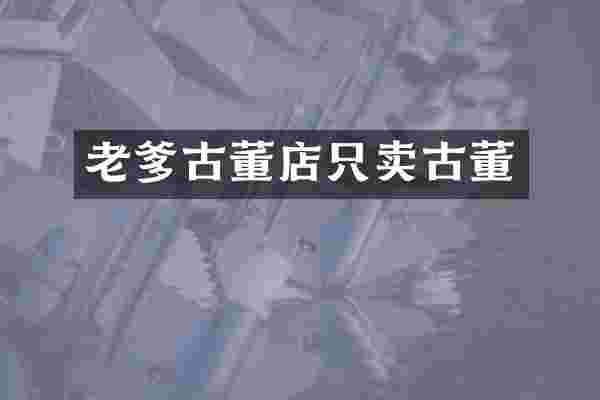 老爹古董店只卖古董