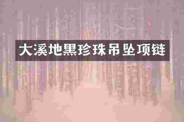 大溪地黑珍珠吊坠项链