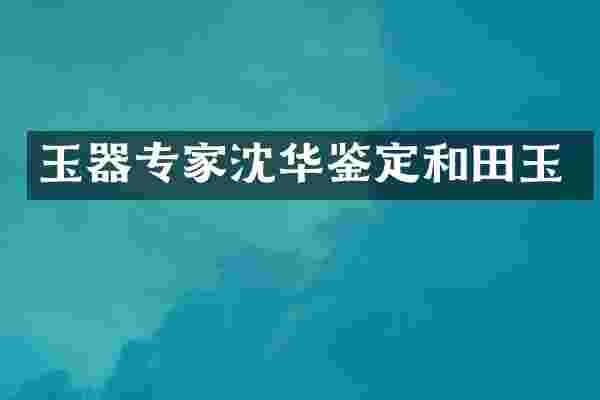 玉器专家沈华鉴定和田玉