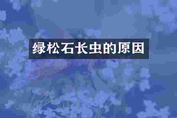 绿松石长虫的原因